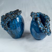 Paire de vases bleus n°2                                             